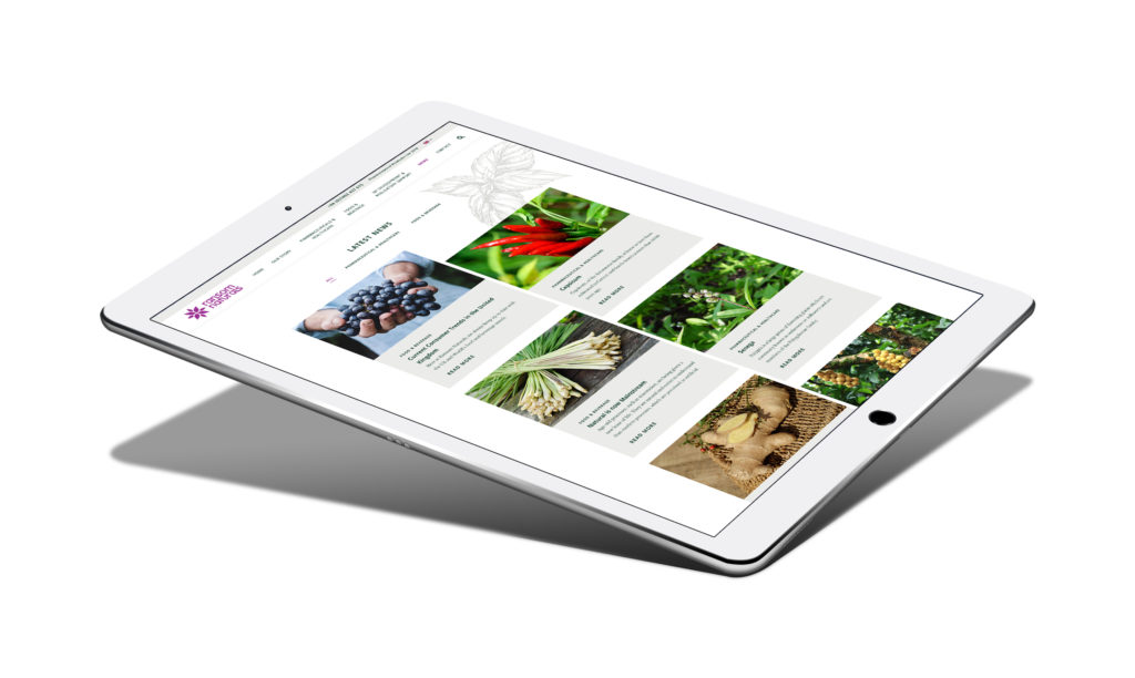 Ransom Naturals Web Design in iPad Pro