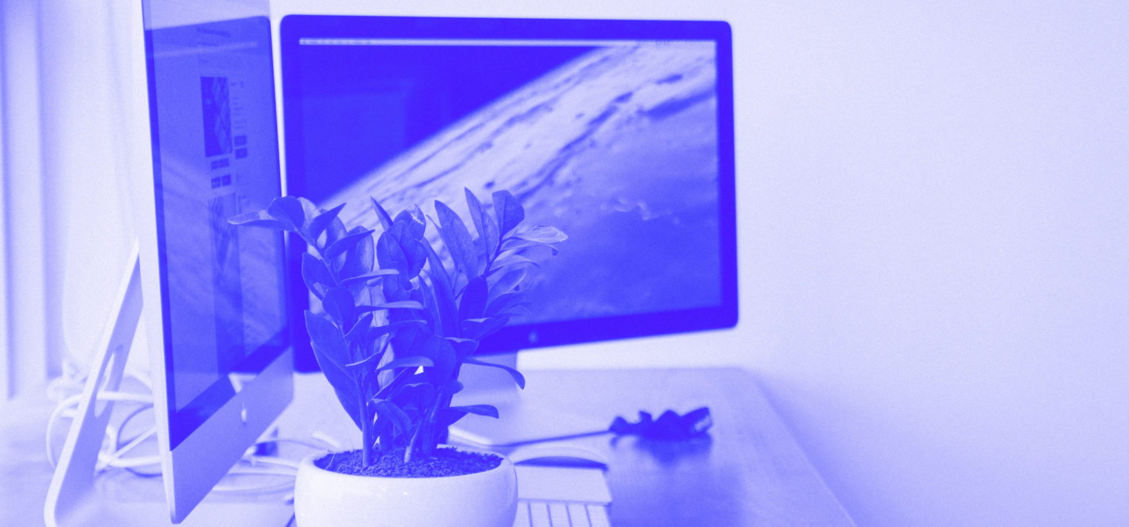 Work Desk with Computer and Plants
